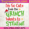 Im so cute even the grinch wants to steal me Svg