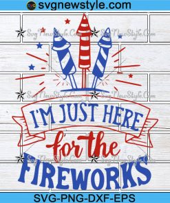 I'm Just Here For The Fireworks Svg, America Svg