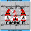 Naughty and I Gnome it svg