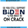 So You Still Support Biden