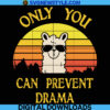only you can prevent drama