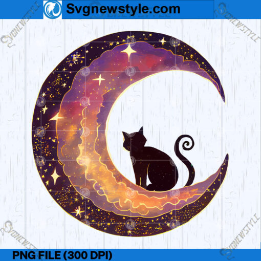 Cat In The Moon PNG