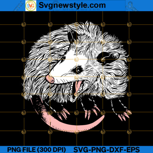 Opossum Wildlife SVG