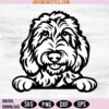 Goldendoodle Svg Png