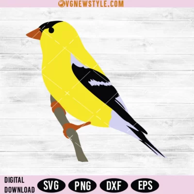 Goldfinch Svg