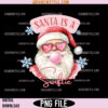 Santa is a Swiftie Png