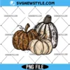 Leopard Pumpkin Png sublimation, Fall pumpkin PNG, Digital Download 2 Leopard Pumpkin Png sublimation