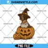 Halloween Shorthaired Pointer PNG