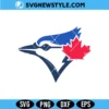 Blue Jay Bird Svg