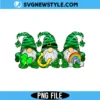 St Patrick's Day Gnomes Png