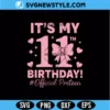 It’s My 11th Birthday SVG