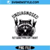Undiagnosed Raccoon PNG