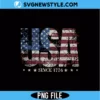 Distressed USA Flag PNG