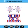 Funny USA Fireworks Couple Svg