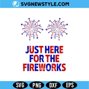 Funny USA Fireworks Couple Svg
